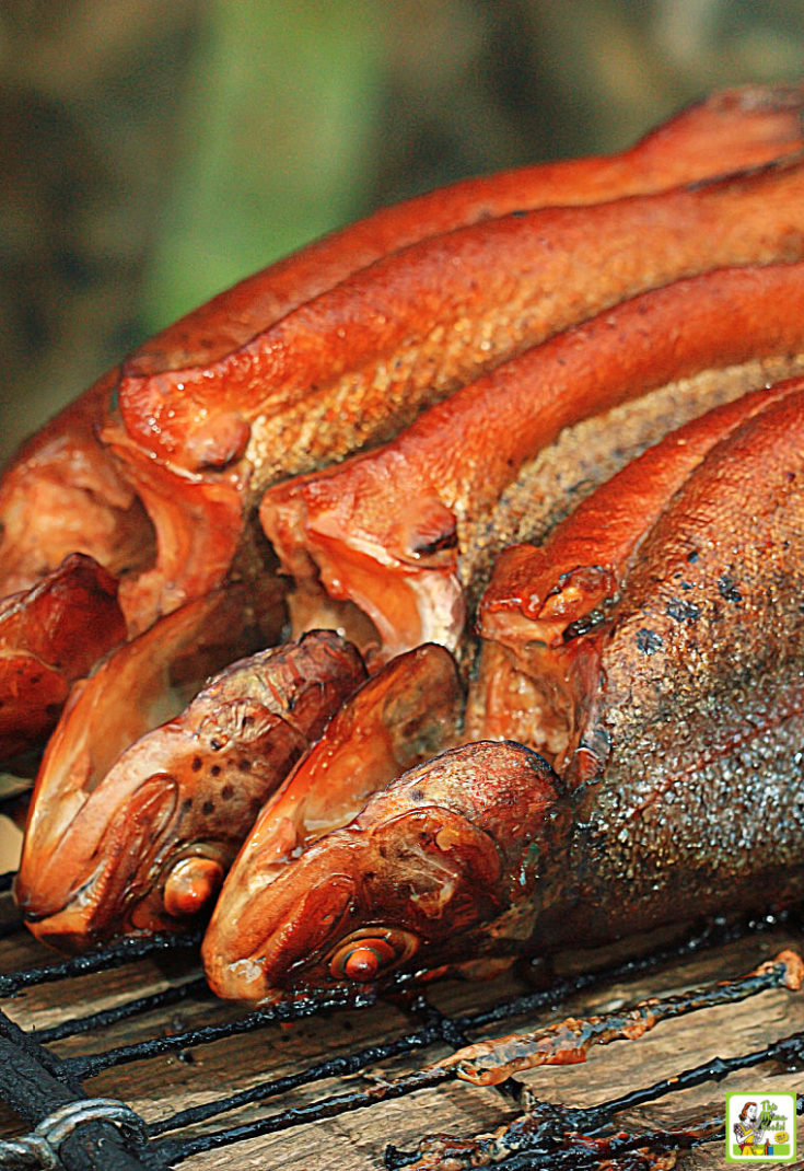 Three cooked and smoked trout on a grill.