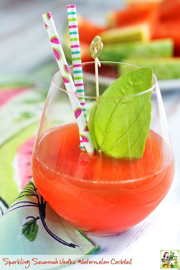 A glass of Sparking Savannah Vodka Watermelon Cocktail with a straw and leave of basil.