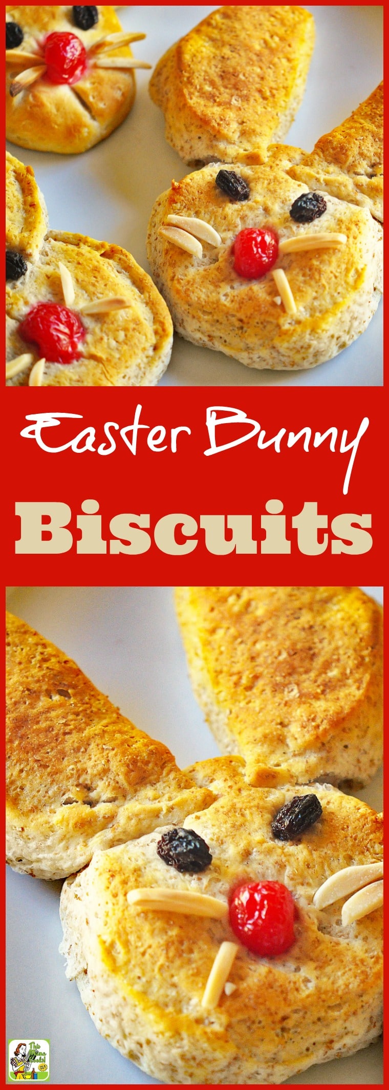 Easter Bunny Biscuits | This Mama Cooks! On a Diet