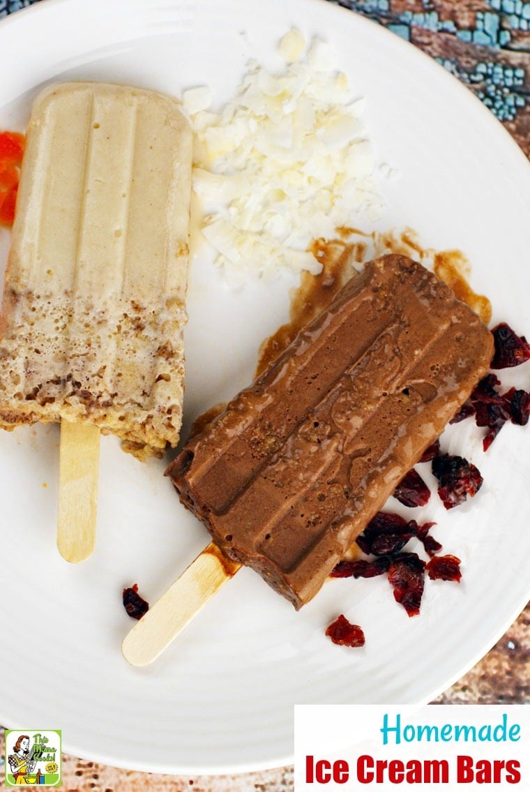 Vanilla and chocolate Homemade Ice Cream Bars on a white plate with dried fruit and coconut.