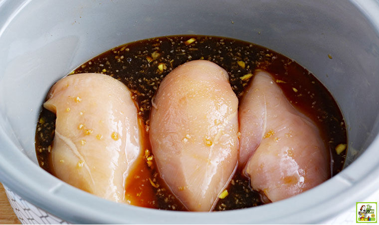 Chicken breasts and teriyaki sauce in slow cooker.