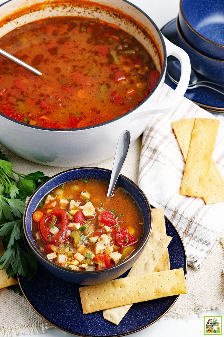 A blue bowl and white cooking pot of chicken vegetable soup with white and black plaid napkin, serving spoons, crackers, and fresh herbs.