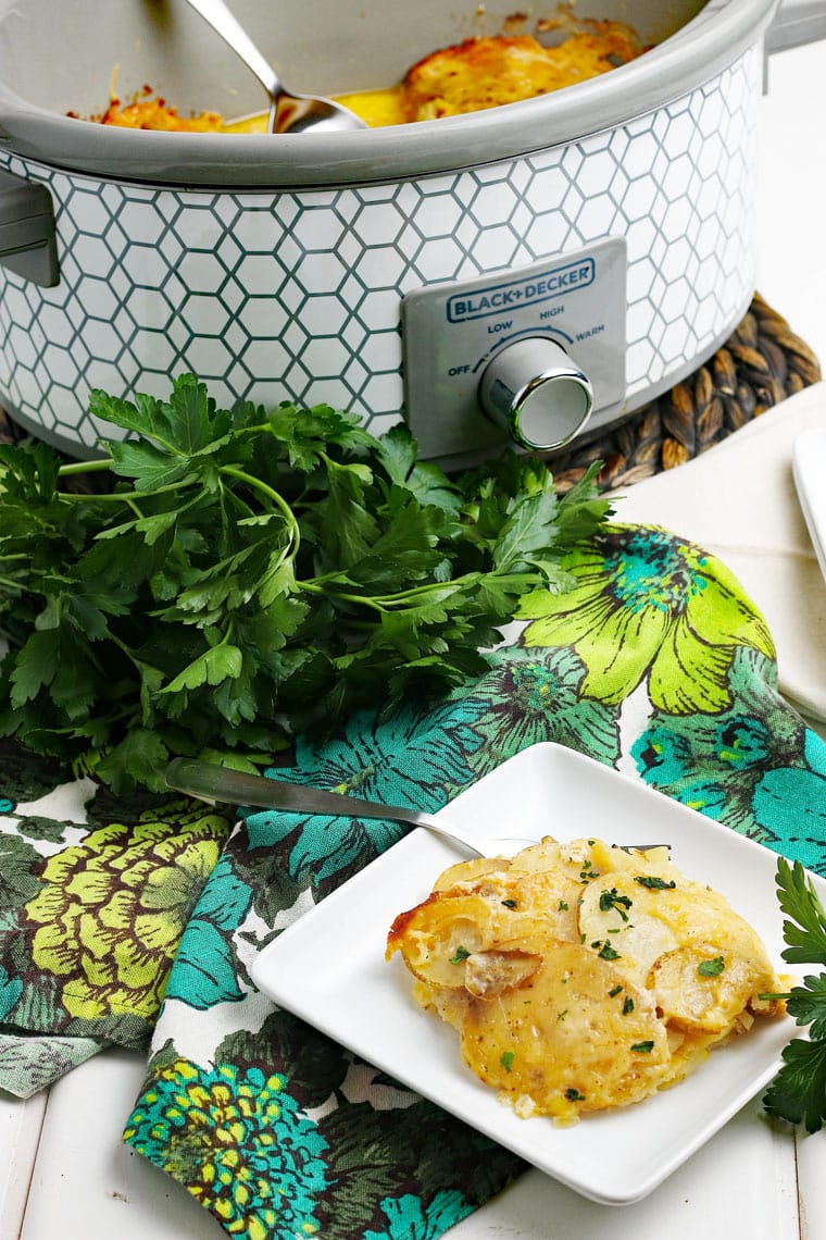 A slow cooker of scalloped potatoes with a white square plate of scalloped potatoes with a fork, floral napkin, and a bunch of fresh parsley.