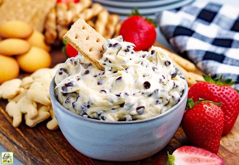 A bowl of Chocolate Chip Cookie Dough Dip with a graham cracker surrounded by fruit, animal crackers, cookies, pretzels, plates, and napkins.