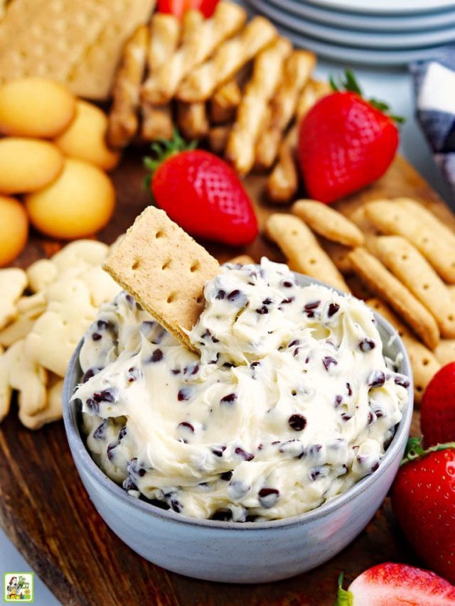 Easy 10 Minute Chocolate Chip Cookie Dough Dip